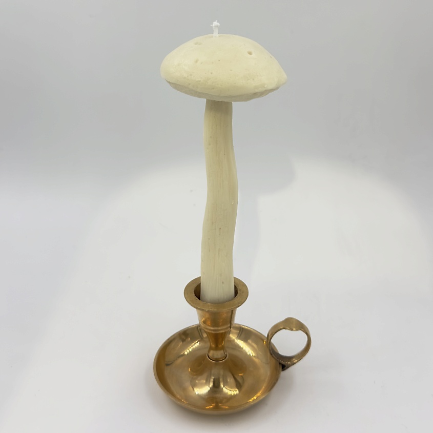 Изображение товара Свеча ароматическая Гриб Подберёзовик 0.06 мл UNIFICATION LOVE белая с ароматом дымчатого уд