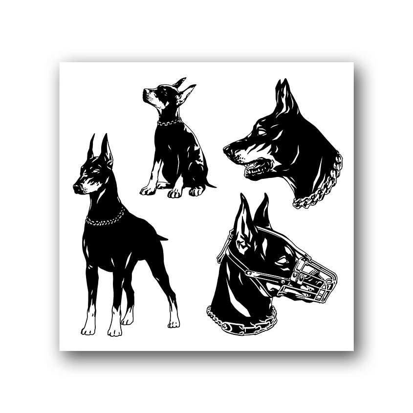 Изображение товара TATTS Переводная тату 10*10см (для взрослых и детей), 1 шт.