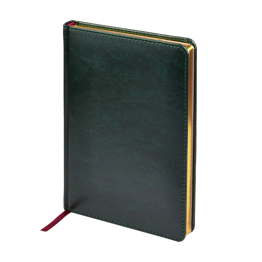 Изображение товара Ежедневник BRUNO VISCONTI недатированный SIDNEY NEBRASKA А5