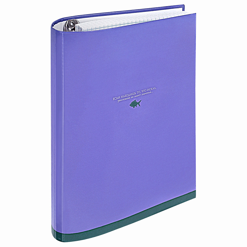 Изображение товара BRAUBERG Тетрадь на кольцах 120 листов Моноцвет, Мультицвет