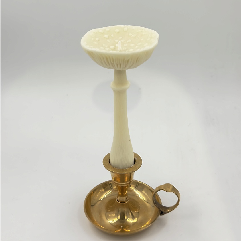 Изображение товара Ароматическая свеча Гриб Мухомор перезрелый ручная работа США