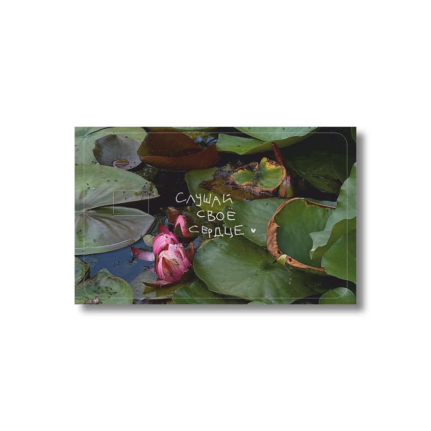 Изображение товара Стикер на карту 'слушай своё сердце' матовый от ОПРОКИНУТЫЙ ЛЕС