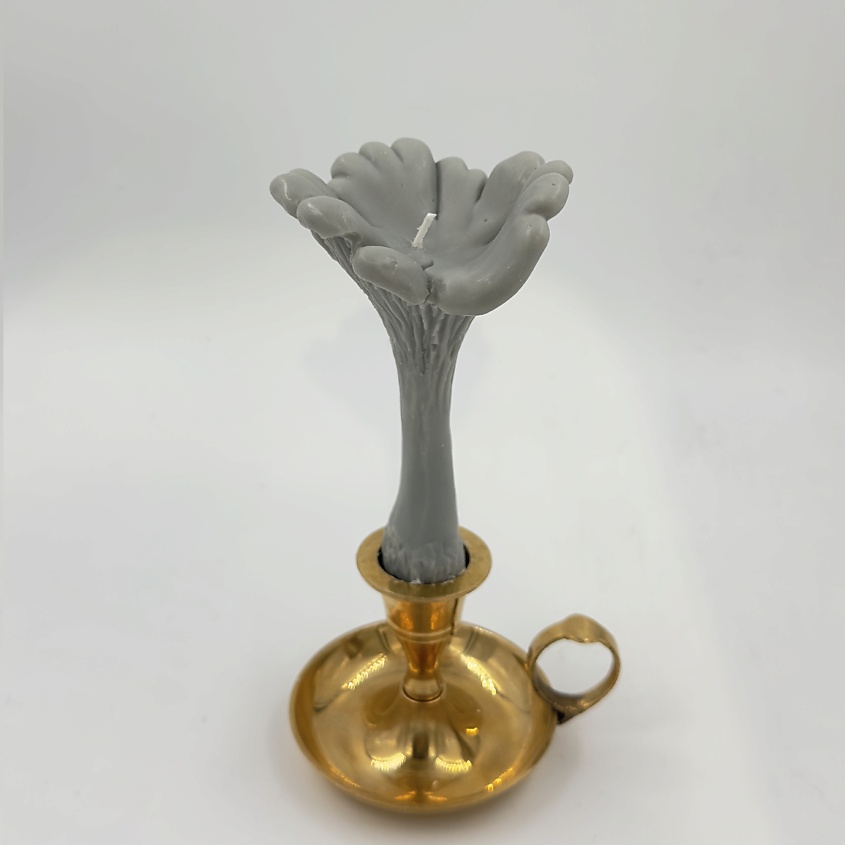 Изображение товара  Ароматическая свеча Гриб Лисичка UNIFICATION LOVE серого цвета