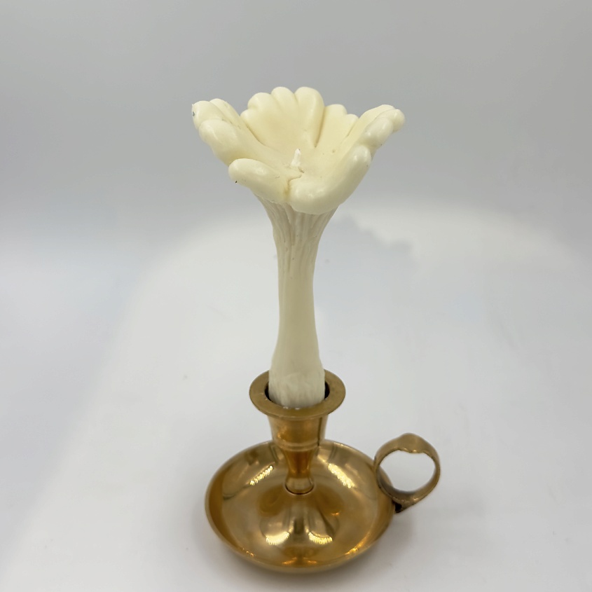 Изображение товара Свеча ароматическая Гриб Лисичка белого цвета 0.04 мл UNIFICATION LOVE