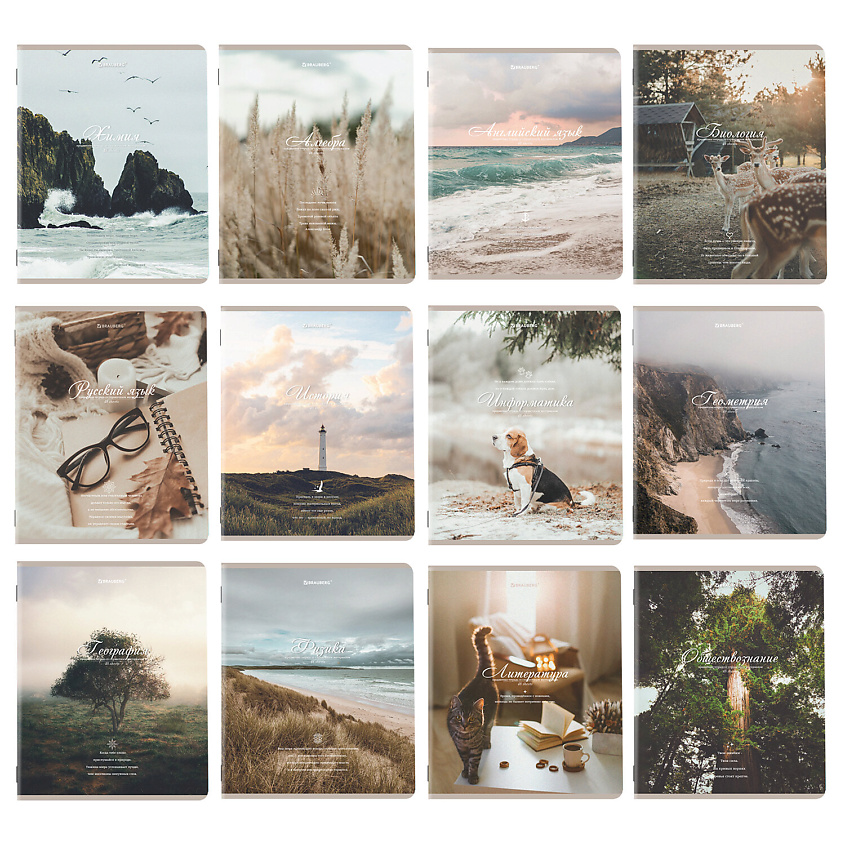 Изображение товара BRAUBERG Тетради предметные комплект ESTHETICS, Мультицвет