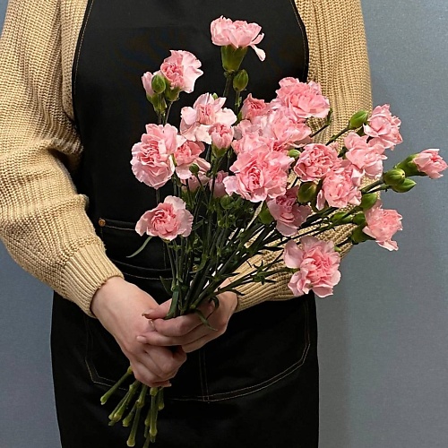 

АЗАЛИЯ FLOWER PUB Букет кустовой гвоздики, Букет кустовой гвоздики