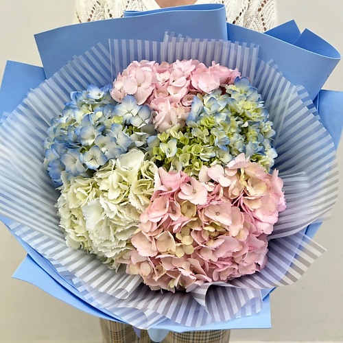 

ЛЭТУАЛЬ FLOWERS Букет цветов из гортензии 5 шт, Букет цветов из гортензии 5 шт