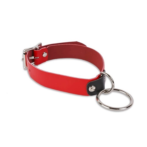 

ПИКАНТНЫЕ ШТУЧКИ Яркий ошейник с колечком, Яркий ошейник с колечком