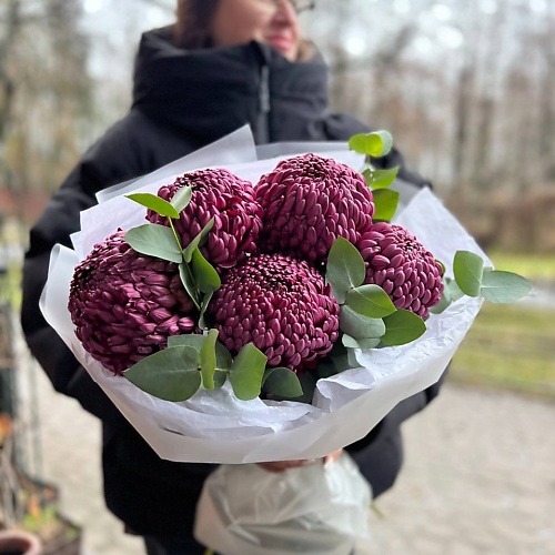

LE BOUQUET Роскошный букет из фиолетовых хризантем, Роскошный букет из фиолетовых хризантем