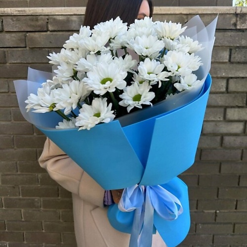 

SALON BUKET 5 Кустовых хризантем в дизайнерской упаковке, 5 Кустовых хризантем в дизайнерской упаковке