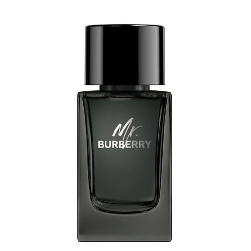 

BURBERRY Mr. Burberry Eau de Parfum 100, Mr. Burberry Eau de Parfum