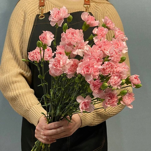 

АЗАЛИЯ FLOWER PUB Букет кустовой гвоздики, Букет кустовой гвоздики