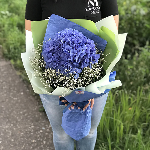 

FLORPRO Синяя гортензия в упаковке, Синяя гортензия в упаковке