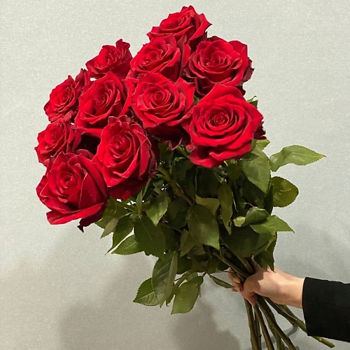 

АЗАЛИЯ FLOWER PUB Роза красная Эквадор 70 сантиметров,11 штук, Роза красная Эквадор 70 сантиметров,11 штук