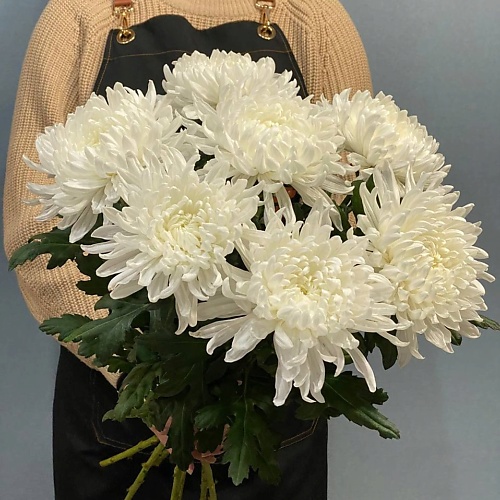 

АЗАЛИЯ FLOWER PUB Букет хризантемы, Букет хризантемы