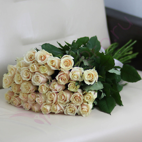 

FLORPRO 35 кремовых роз Талея 50 см, 35 кремовых роз Талея 50 см