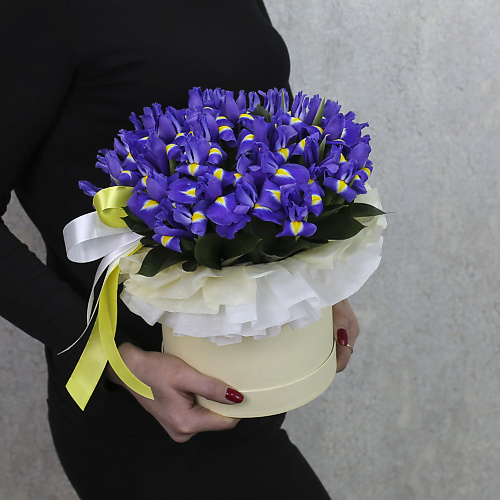 

FLORPRO Коробка из 25 синих ирисов "Глория", Коробка из 25 синих ирисов "Глория"