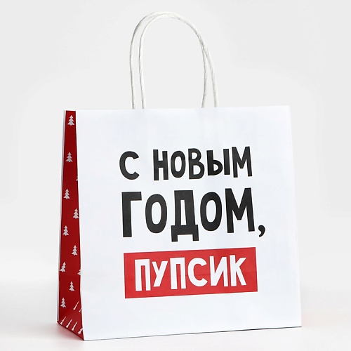 

ДАРИТЕ СЧАСТЬЕ Пакет подарочный "С Новым годом, пупсик", Пакет подарочный "С Новым годом, пупсик"