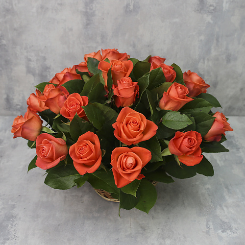 

FLORPRO Корзина из 25 роз «Коралловые розы Вау с зеленью», Корзина из 25 роз «Коралловые розы Вау с зеленью»