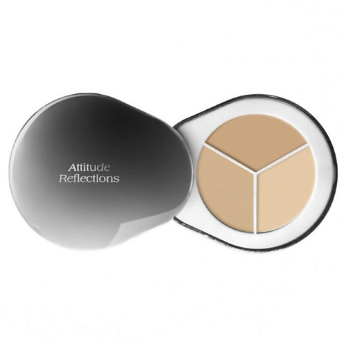 

DR.ALTHEA Консилер для лица Perfect Cover Concealer Palette 3.9, Консилер для лица Perfect Cover Concealer Palette