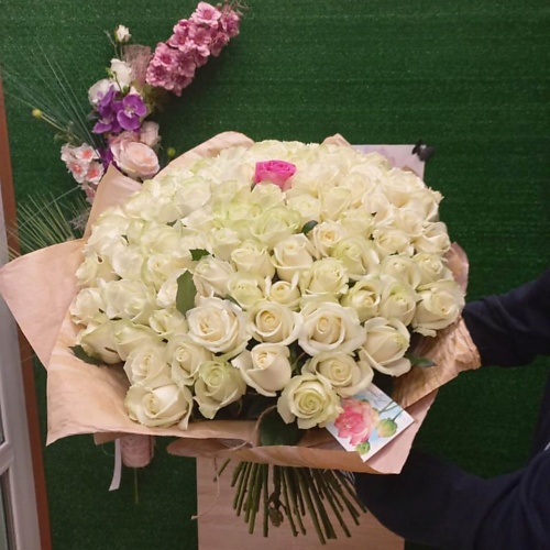 

РОЗЫ УРАЛА 100 и 1 роза, 100 и 1 роза