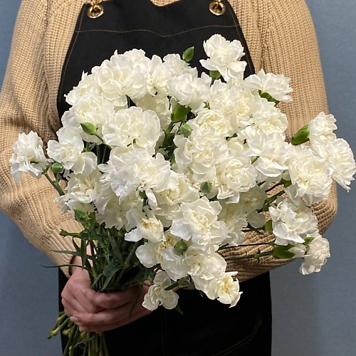 

АЗАЛИЯ FLOWER PUB Букет кустовой гвоздики, Букет кустовой гвоздики