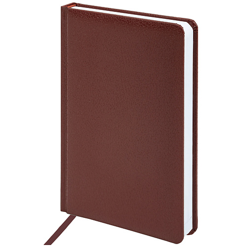 

BRAUBERG Ежедневник недатированный А5 Profile, Ежедневник недатированный А5 Profile