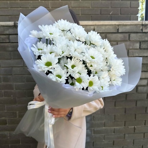 

SALON BUKET 7 Кустовых Хризантем в упаковке, 7 Кустовых Хризантем в упаковке