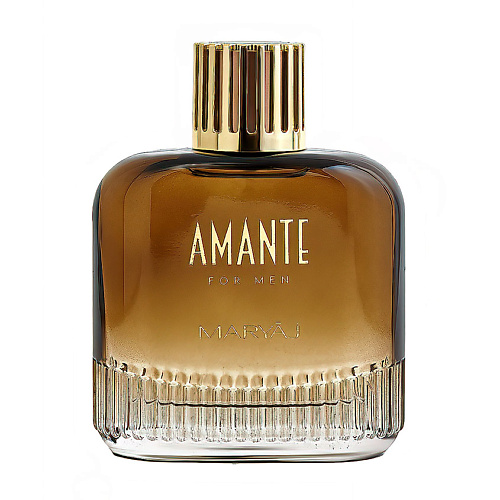 

MARYAJ Парфюмерная вода AMANTE FOR MEN 100.0, Парфюмерная вода AMANTE FOR MEN