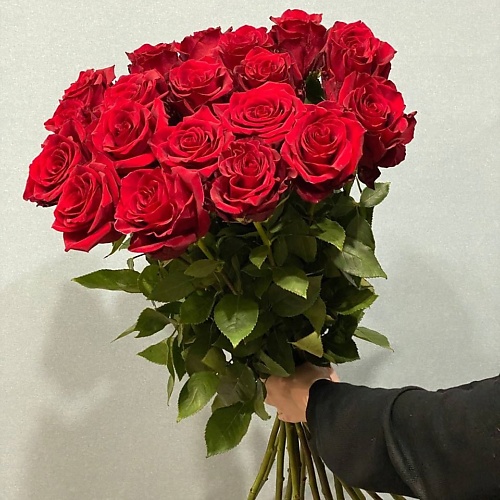 

АЗАЛИЯ FLOWER PUB Роза красная Эквадор 70 сантиметров,19 штук, Роза красная Эквадор 70 сантиметров,19 штук