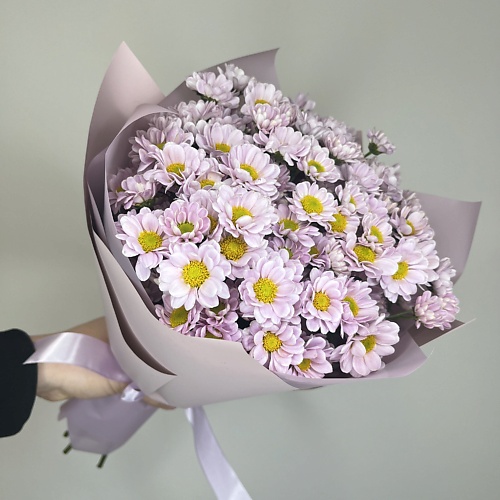 

БЕТТЕР ГИФТС Букет Pink paradise M из 11 кустовой ромашки (хризантемы) Сантини, Букет Pink paradise M из 11 кустовой ромашки (хризантемы) Сантини