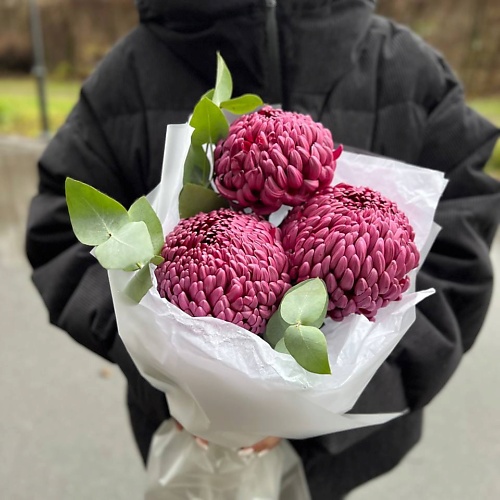 

LE BOUQUET Букет из огромных лиловых хризантем, Букет из огромных лиловых хризантем