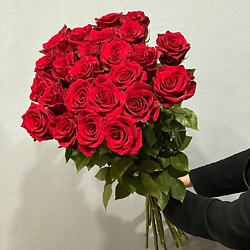 Роза красная Эквадор 70 сантиметров,25 штук