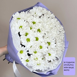 Большой букет Purp Chic из 11 белых кустовых ромашек