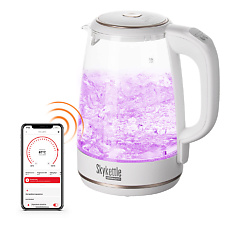 Чайник SkyKettle RK-G203S