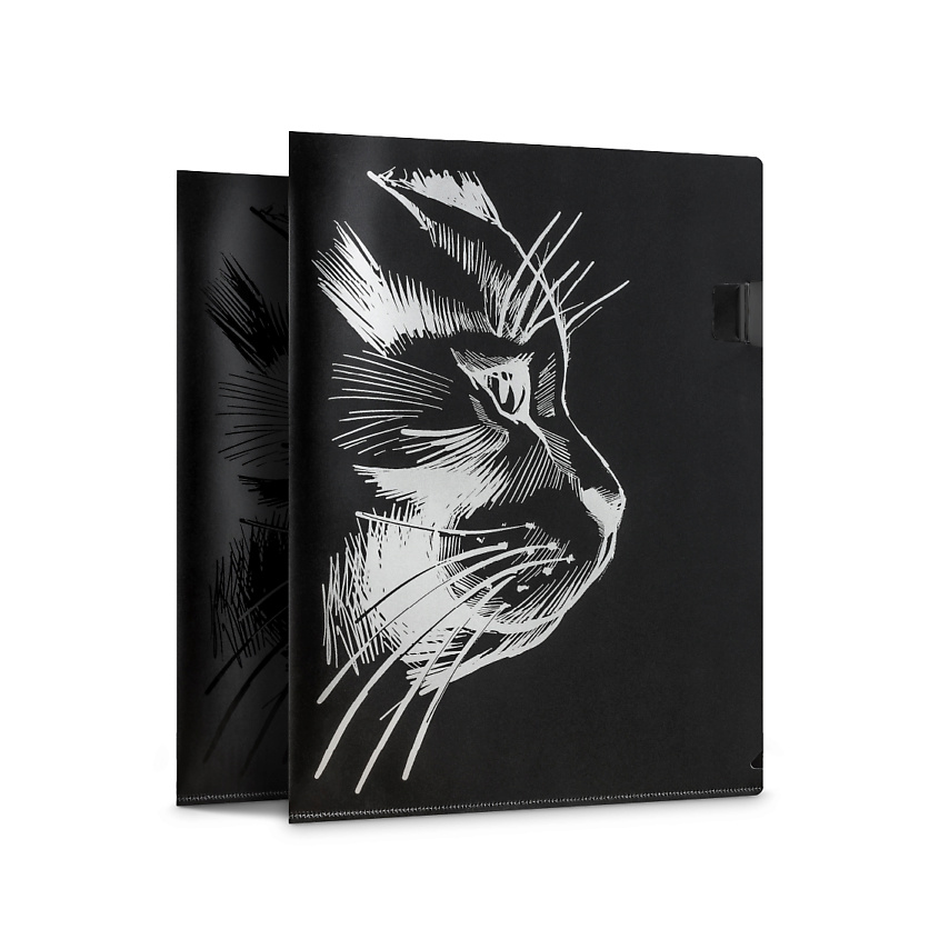 Изображение товара FLEXPOCKET Папка-уголок для документов с принтом, 2 шт