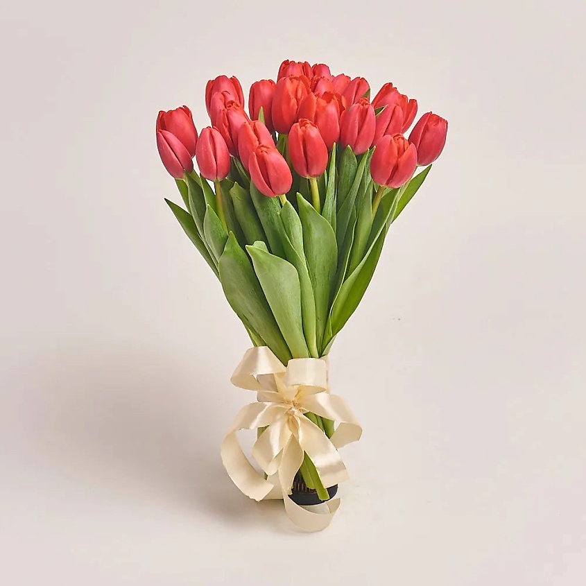 Изображение товара AZALIANOW ЦВЕТЫ. ПОДАРКИ. ДЕКОР Букет из 25 тюльпанов красного цвета, Букеты и композиции из живых цветов могут на несколько тонов отличаться от изображений. Часть цвета искажается в зависимости от настроек экрана.