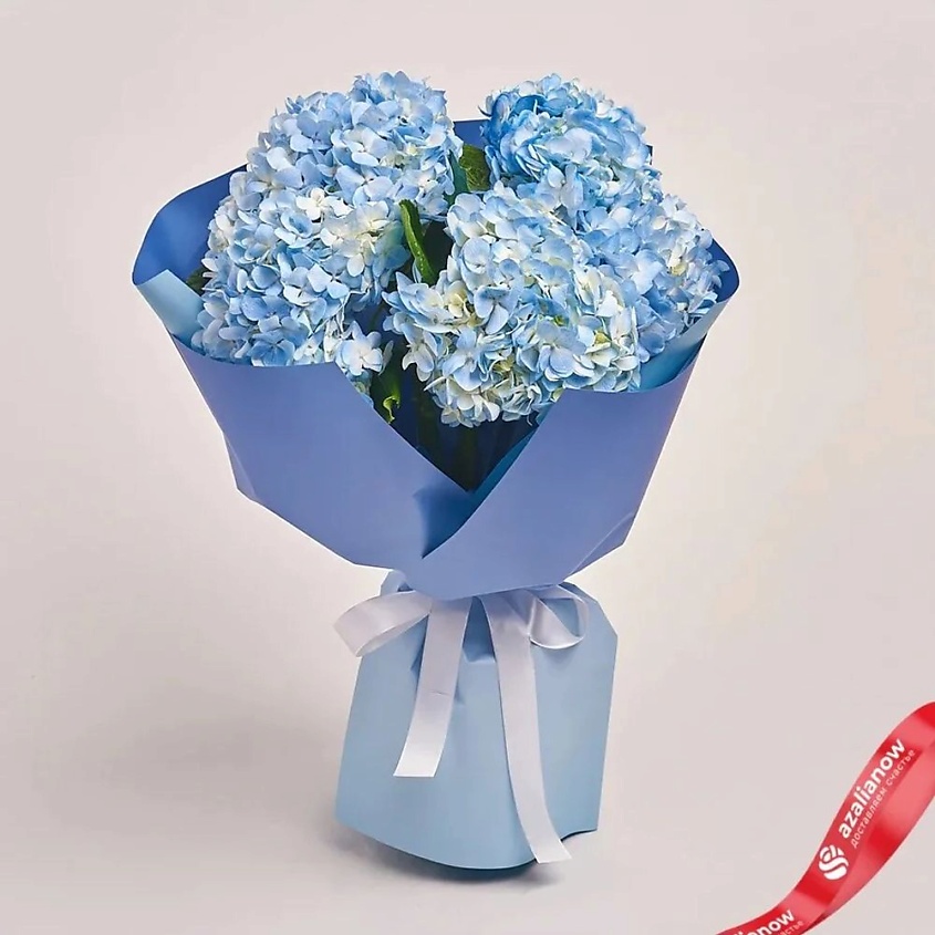 Изображение товара AZALIANOW ЦВЕТЫ. ПОДАРКИ. ДЕКОР Букет из 5 голубых гортензий «Небо», Букеты и композиции из живых цветов могут на несколько тонов отличаться от изображений. Часть цвета искажается в зависимости от настроек экрана.