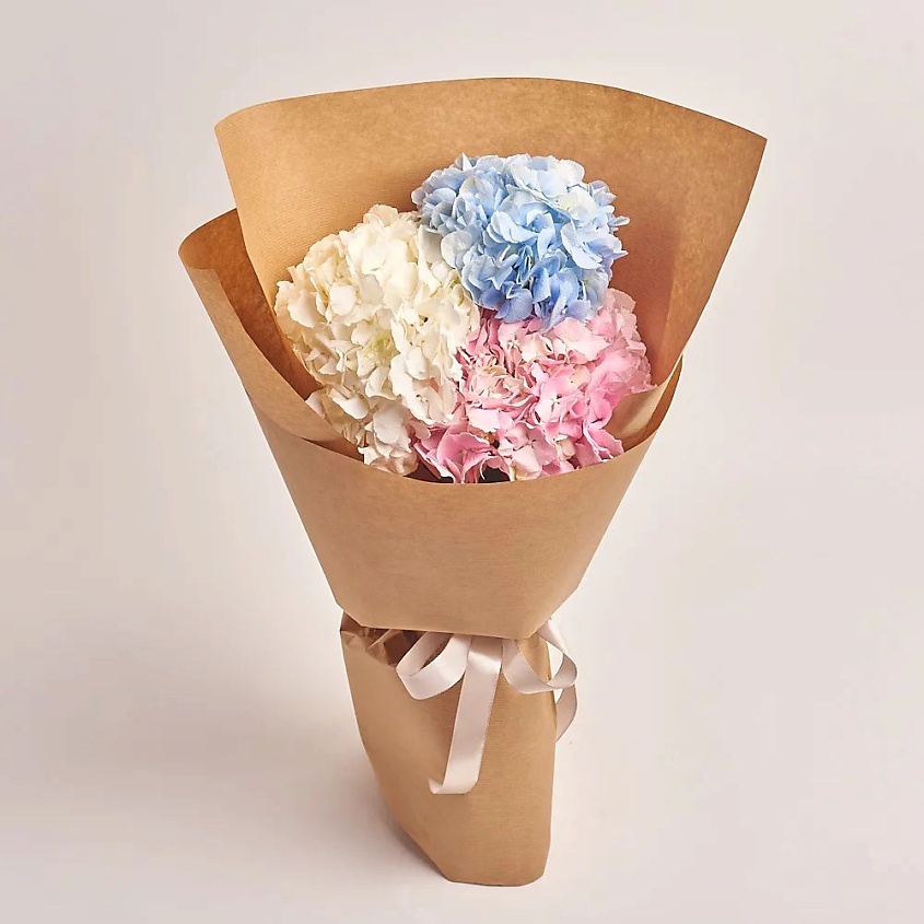 Изображение товара Букет из 3 разноцветных гортензий в крафте с подарками и уходом