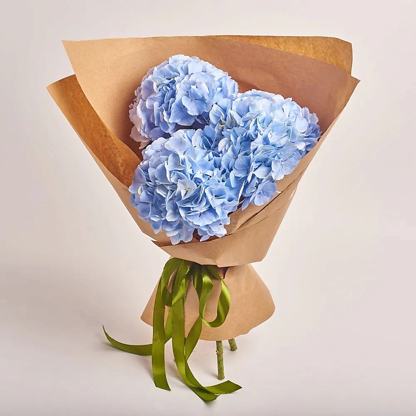 Изображение товара AZALIANOW ЦВЕТЫ. ПОДАРКИ. ДЕКОР Букет из 3 голубых гортензий в крафт-бумаге, Букеты и композиции из живых цветов могут на несколько тонов отличаться от изображений. Часть цвета искажается в зависимости от настроек экрана.