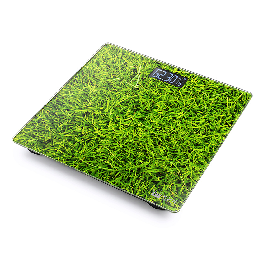 Изображение товара Напольные весы HOME ELEMENT HE-SC906 с термометром зеленые