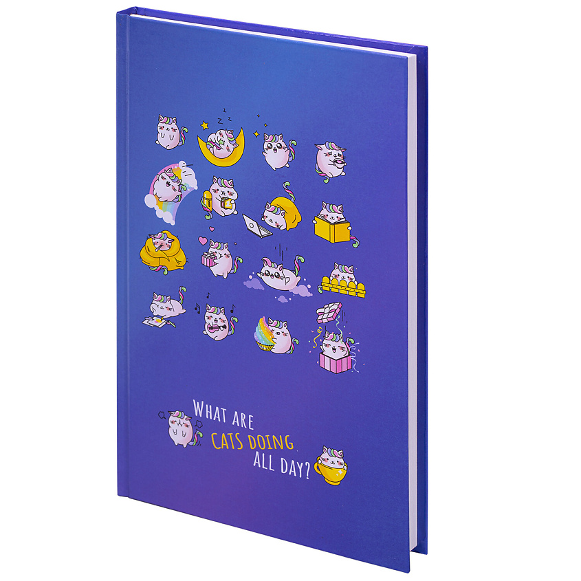 Изображение товара BRAUBERG Блокнот А5, твёрдый, клетка KIDS, Радужные котики, 80 листов