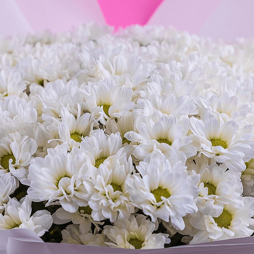 Изображение товара Букет из 19 белых хризантем Ромашка с подарками доставка по Москве