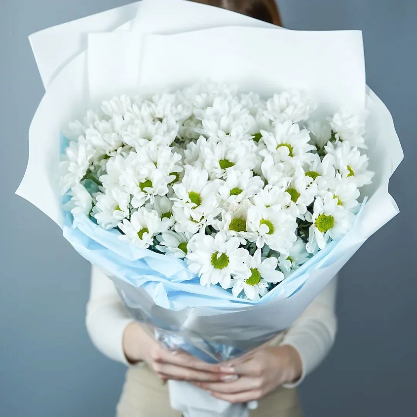 Изображение товара Букет из 15 белых хризантем в упаковке с аксессуарами AZALIANOW