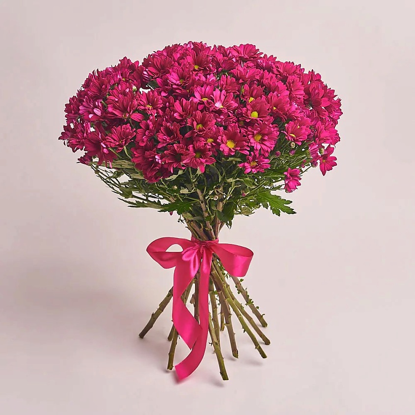 Изображение товара Букет из 15 кустовых малиновых хризантем с подарками