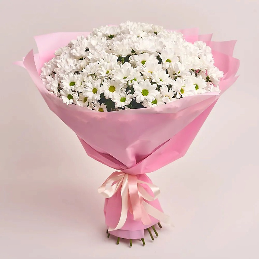 Изображение товара Букет из 25 белых ромашковых хризантем в розовой пленке от AZALIANOW