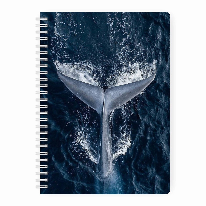 Изображение товара REMARKLEE Планер еженедельник "Кит" MyPPlanner А5, Синий