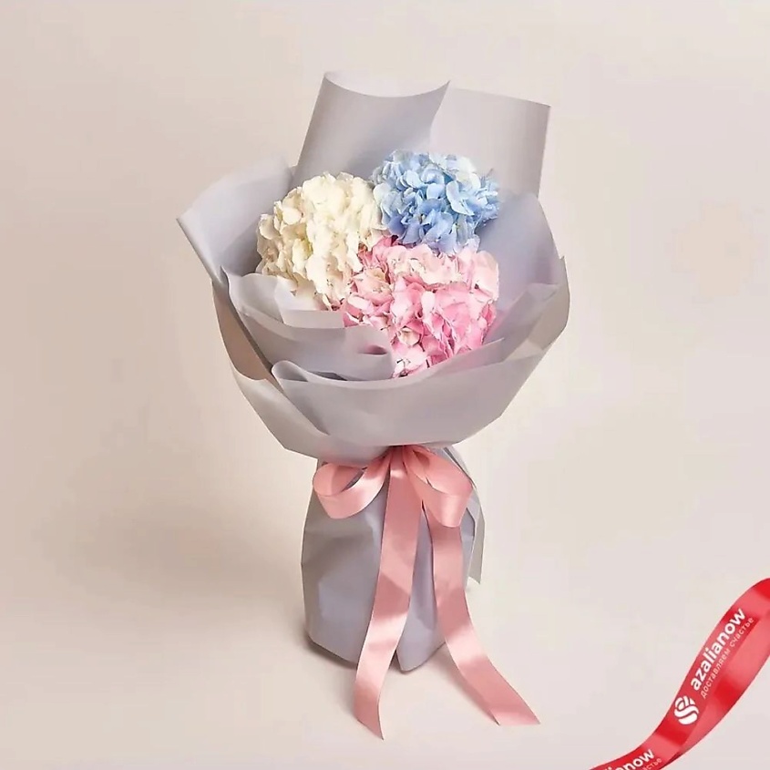 Изображение товара Букет из 3 разноцветных гортензий в пленке - подарок на праздник