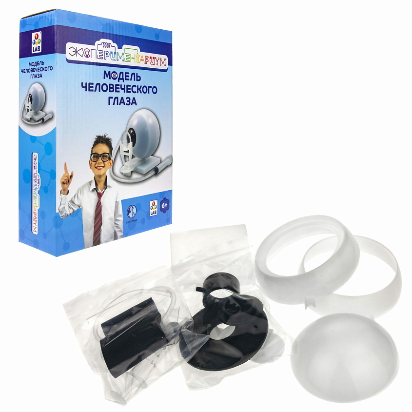 Изображение товара Образовательный набор Модель глаза для детей развитие зрения и науки