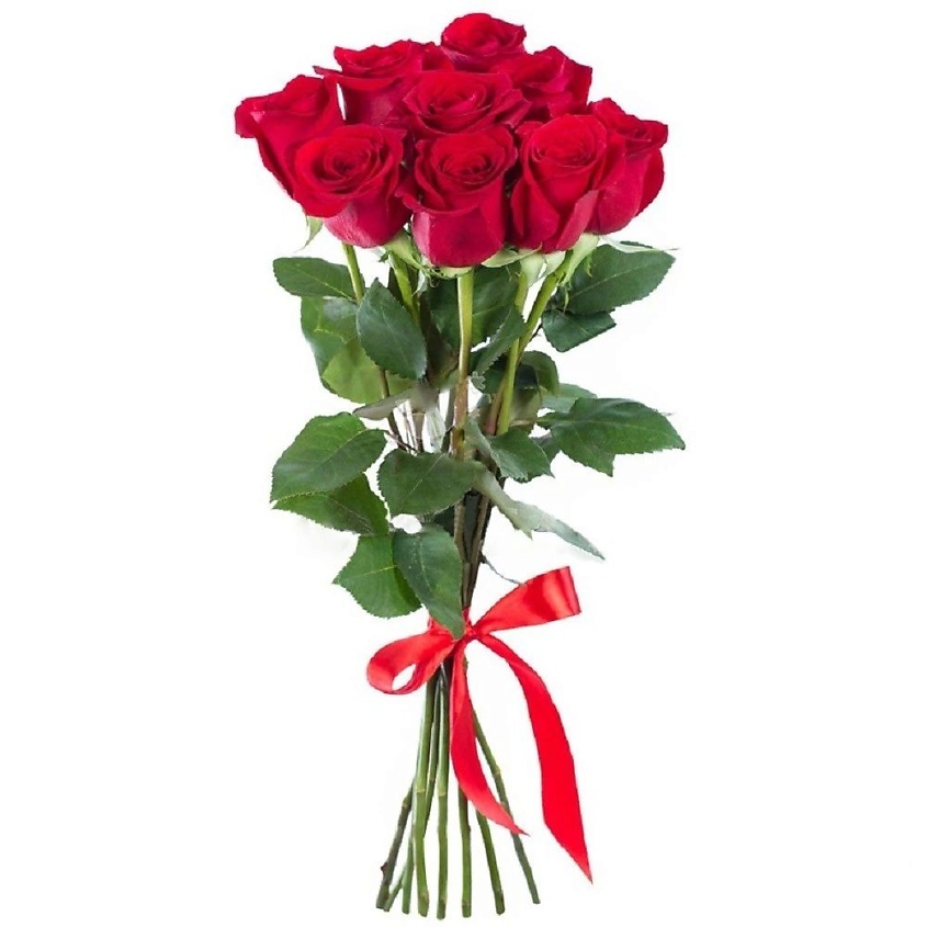 Изображение товара Классический букет из 9 красных роз 50 см с подарком и уходовыми рекомендациями